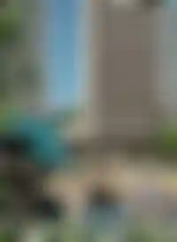 Дворовое пространство<br />по авторскому<br />проекту